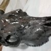 Wisconsin Hydrographics