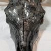 Wisconsin Hydrographics