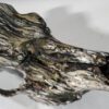Wisconsin Hydrographics