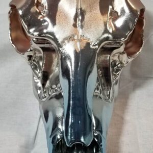 Wisconsin Hydrographics