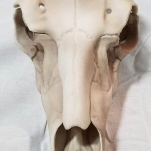 Wisconsin Hydrographics