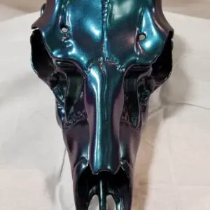 Wisconsin Hydrographics