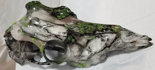 Wisconsin Hydrographics